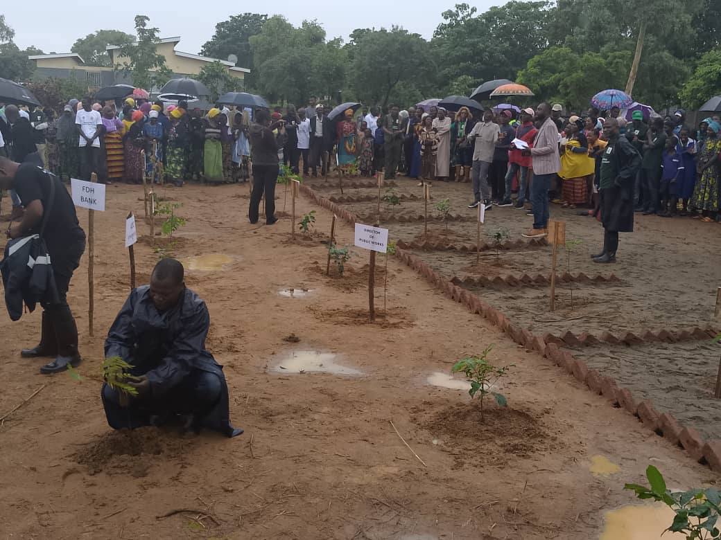 Government eyes 41 million tree seedlings in the 2025/2026 National Forestry Season