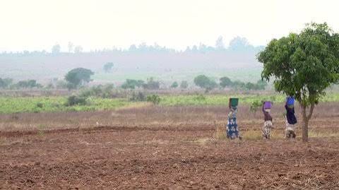 The Battle for Government Land in Kasungu